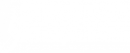 YP_Logo_Typo_weiss